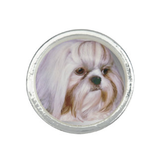 acessorios para shih tzu acess 243 rios shih tzu para roupas acess 243 rios shih tzu fashion acessorios para shih tzu acess 243 rios shih tzu para roupas acess 243 rios shih tzu fashion