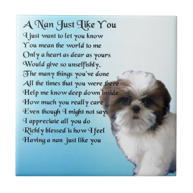 Cão de Shih Tzu - poema de Nan (Frente)