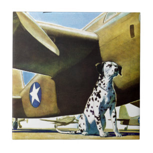 Cão do Exército