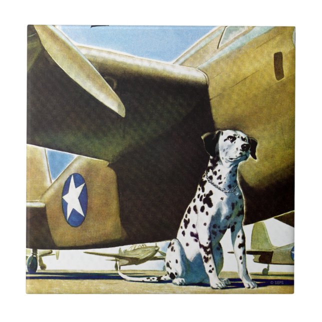 Cão do Exército (Frente)