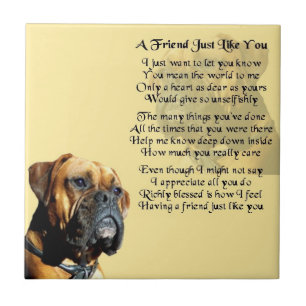 Cão do pugilista - azulejo do poema do amigo