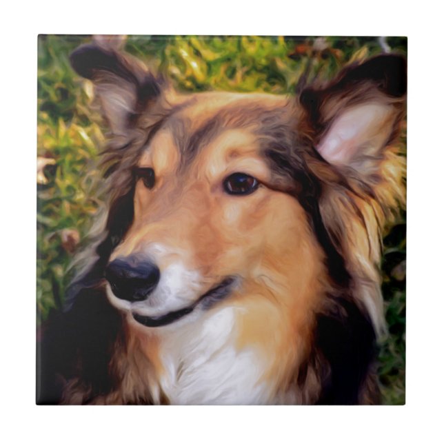 Cão do salvamento (Frente)
