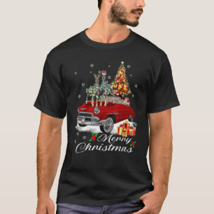 Cão Dobermann em Luzes de Natal de Camisa Camisola