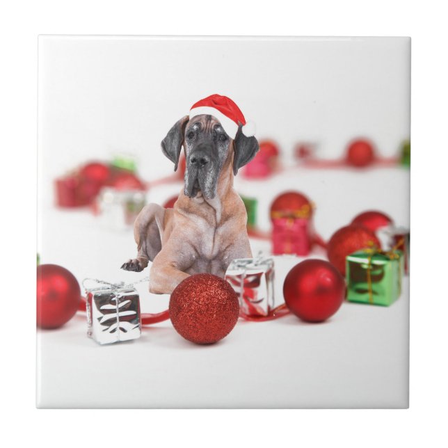 Cão Dogue Alemão com Enfeites de Natal Presentes (Frente)