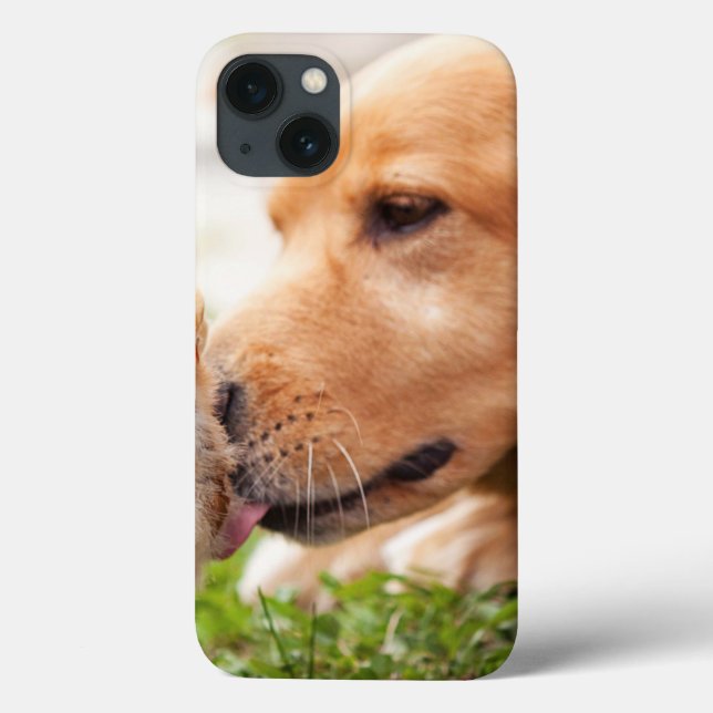 Cão e pintinho (Verso)