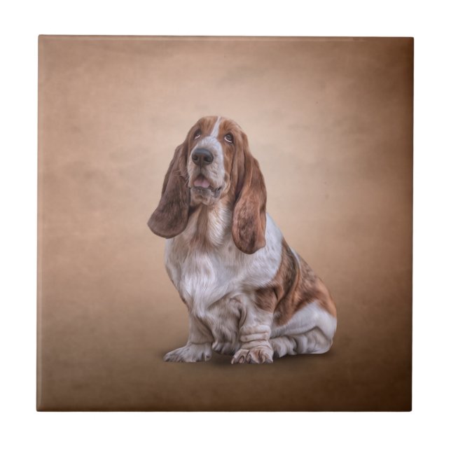 Cão engraçado de tiragem de Basset Hound (Frente)