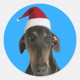 Cão engraçado em etiquetas do Natal do chapéu d