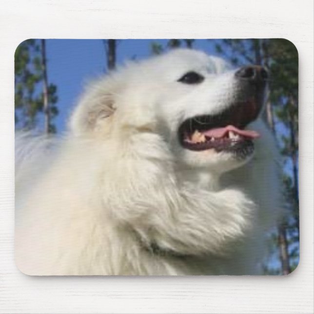 Cão Eskimo americano Mousepad (Frente)