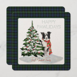 Cão Feliz da Antiga Tartan