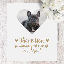 Cão Fotográfico Personalizado Eu Faço Muito Rótulo