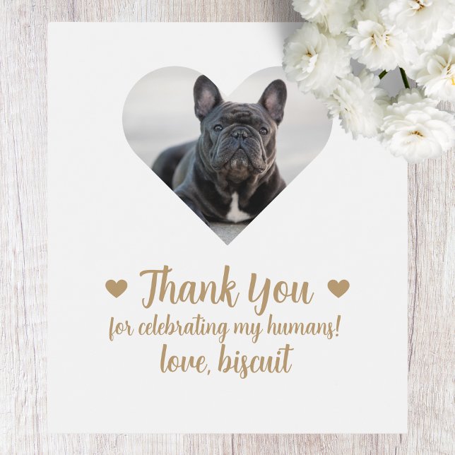 Cão Fotográfico Personalizado Eu Faço Muito Rótulo (Criador carregado)