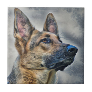 Cão german shepherd