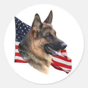 Cão german shepherd com etiqueta de Sinalizador