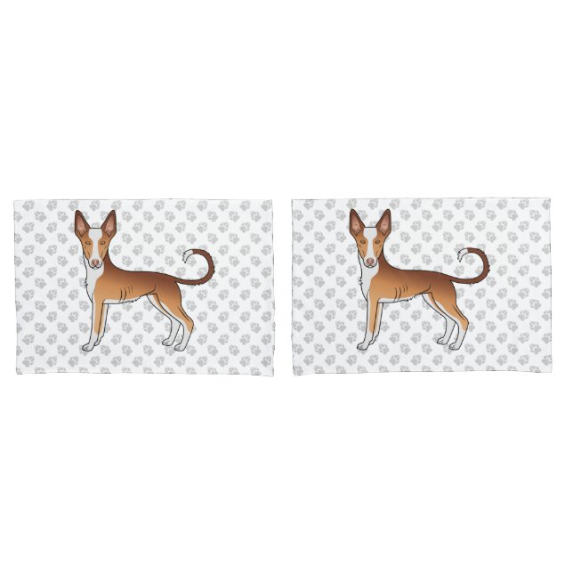 Cão Ibizan Hound Vermelho e Branco de Pelo Liso e  (Frente - conjunto)