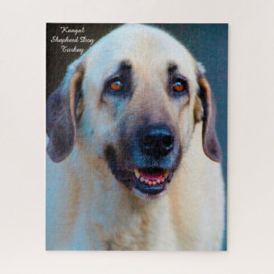 Cão Kangal. Quebra-cabeça