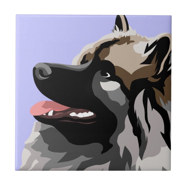 Cão Keeshond (Frente)