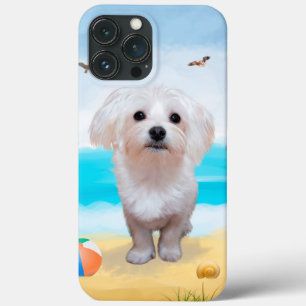 Cão Maltês na Praia