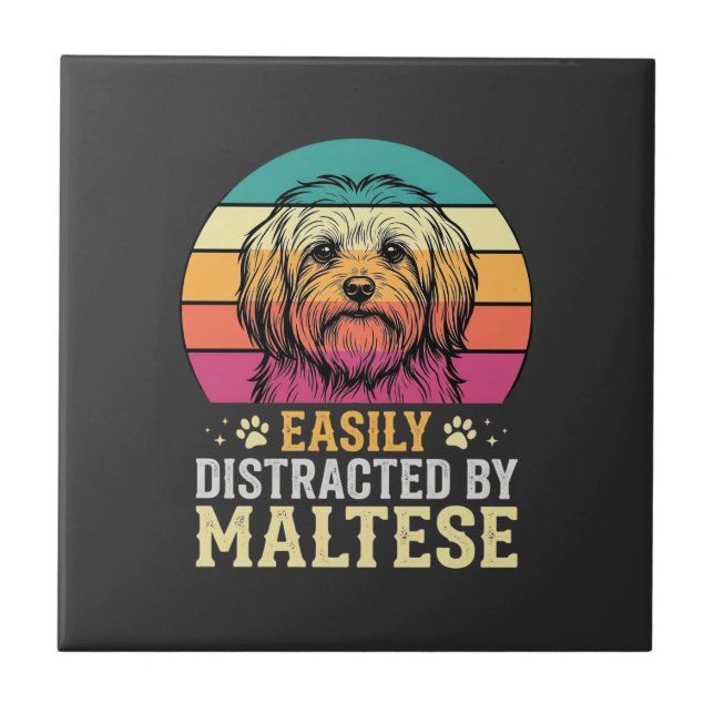 Cão Maltês Retro Pôr do Sol Distraído (Frente)