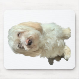 Cão Mouse Pad Havanese