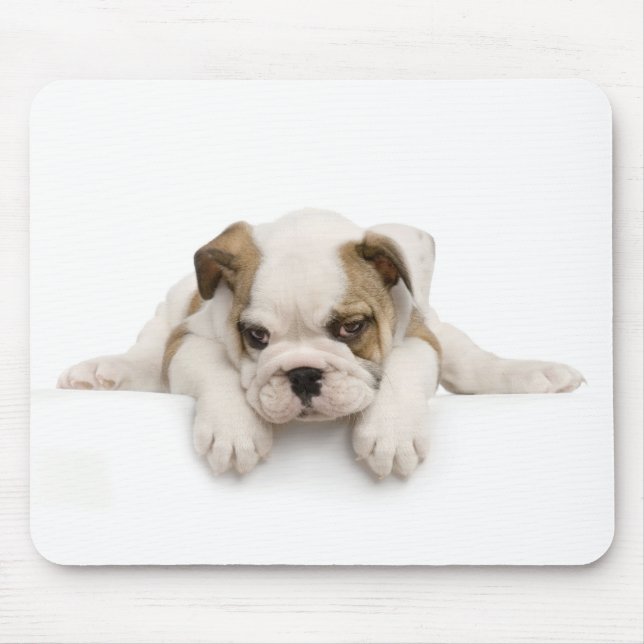 Cão Mousepad de Bull do inglês (Frente)
