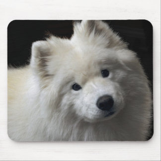 Cão Mousepad do Samoyed