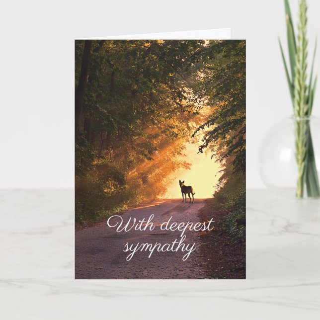 Cão no cartão de simpatia do pôr do sol (Frente)