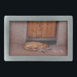 Cão no Resto<br><div class="desc">Cachorro no Rest Nature Foto impressões e presentes mostram uma bela fotografia de um cão bronzeado dormindo em frente a uma cabana de lama com uma porta laranja na África tirada por Kurt Keller à tarde enquanto estava em um safari africano. Quem ama animais, cachorros, fotografia da natureza e qualquer...</div>