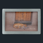 Cão no Resto<br><div class="desc">Cachorro no Rest Nature Foto impressões e presentes mostram uma bela fotografia de um cão bronzeado dormindo em frente a uma cabana de lama com uma porta laranja na África tirada por Kurt Keller à tarde enquanto estava em um safari africano. Quem ama animais, cachorros, fotografia da natureza e qualquer...</div>