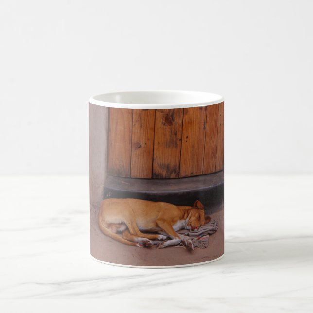 Cão no Resto da Caneca (Centro)