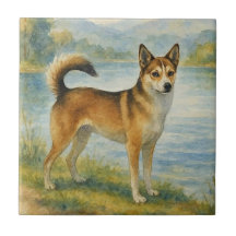 Cão Norueguês Lundehund