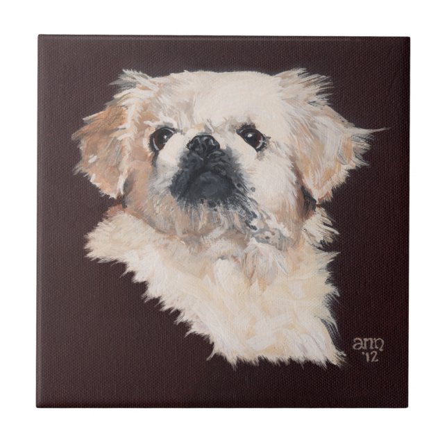 Cão Pequinês Branco (Frente)