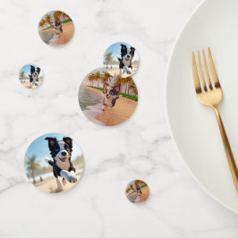 Cão preto e branco correndo na praia