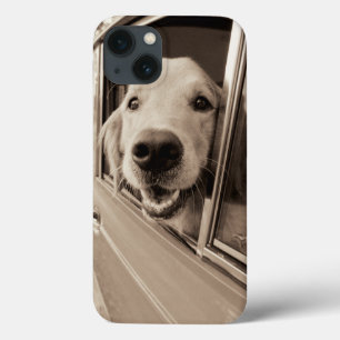 Cão que espreita para fora uma janela de carro