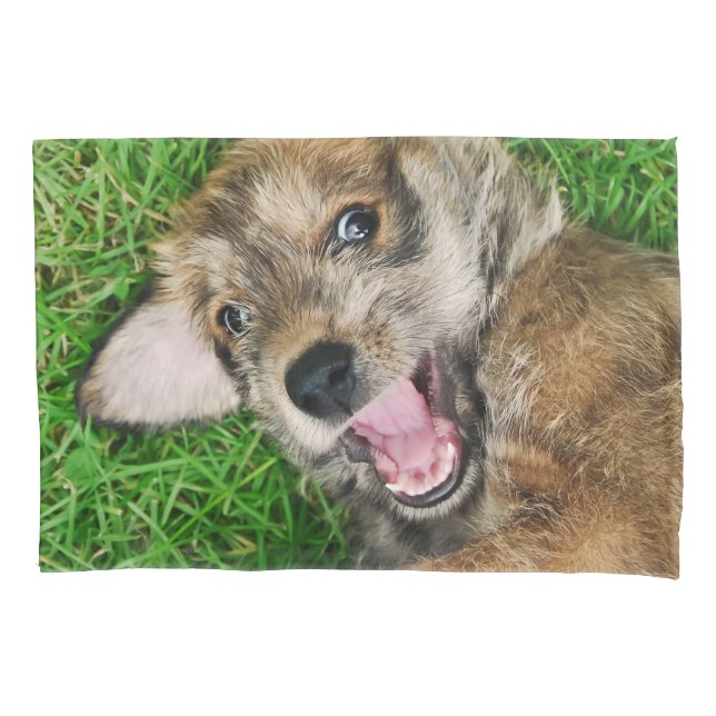Cão Rindo Berger Picard Puppy Engraçado Pillowcove (Frente)