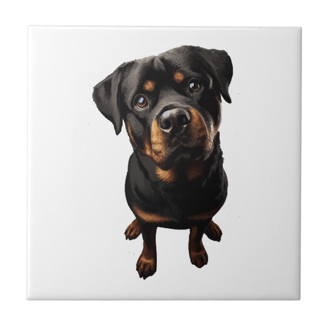 cão rottweiler (Frente)