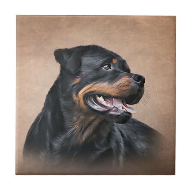 Cão rottweiler (Frente)