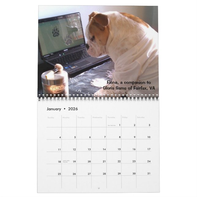Cão superior: Bobina canina do calendário do ano (Jan 2026)