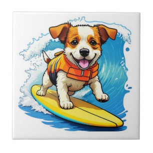 Cão surfador