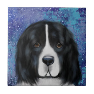 Cão Terra Nova