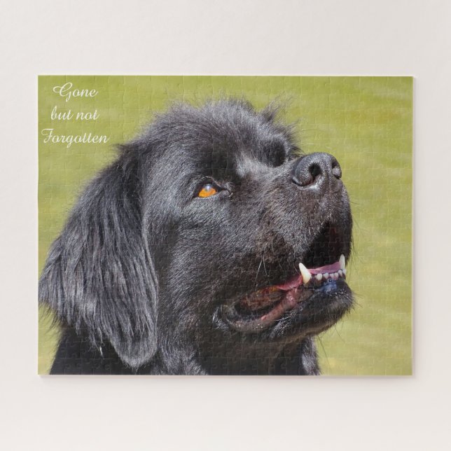 Cão Terra Nova. Quebra-cabeça (Horizontal)