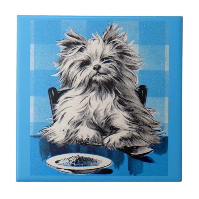 cão vadia comendo na mesa (Frente)