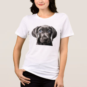 Cãozinho bonito