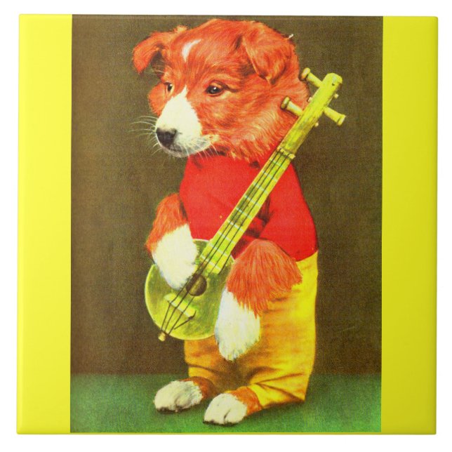 Cãozinho de banjo (Frente)