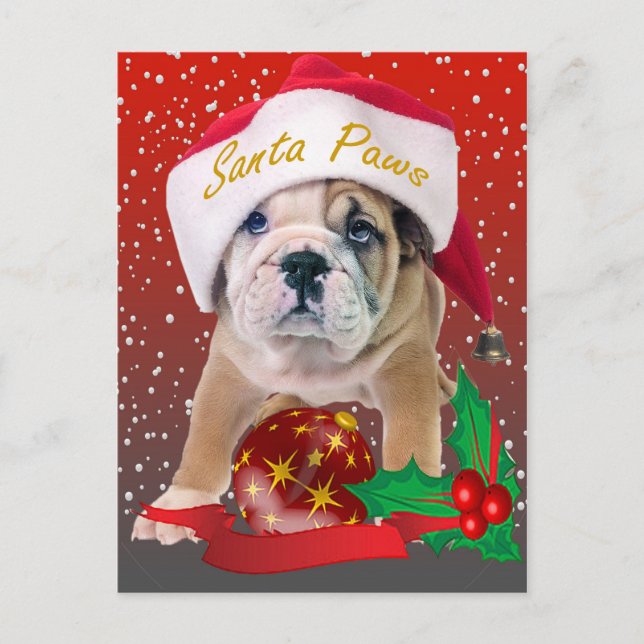 Cãozinho de buldogue inglês nos Cartões Santa Hat (Frente)