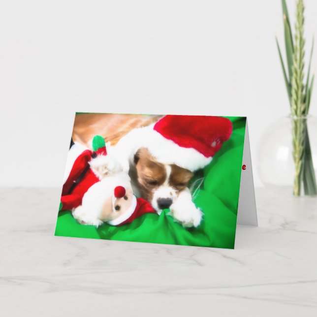 Cãozinho De Natal Com Cartão De Cão De Papai noel (Frente)