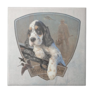 Cãozinho do inglês Setter com uma espingarda cláss