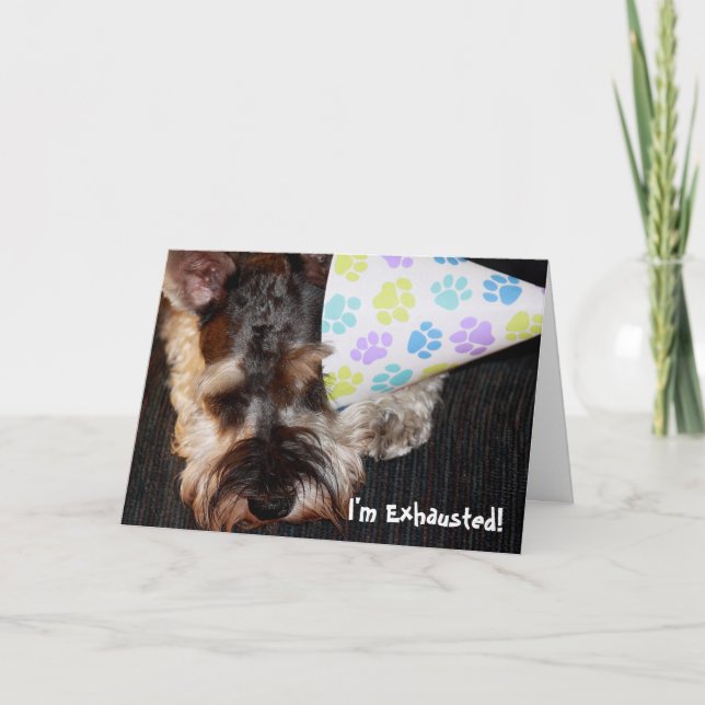 Cãozinho Esgotado com Cartão de Aniversário do Cha (Frente)