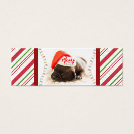 Cãozinho giro no Natal Vermelho