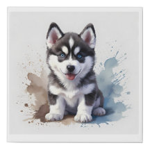 Cãozinho Siberiano Cachorro, aquarela