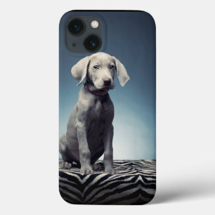 Cãozinho Weimaraner